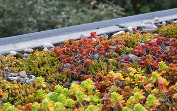 the cost of Castallack green roof installation